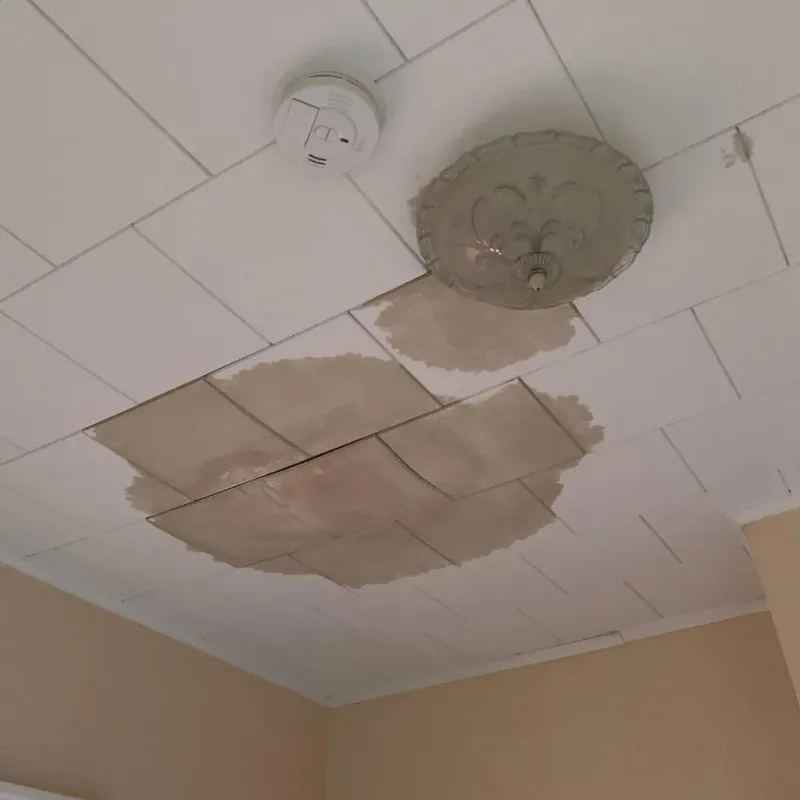 Ceiling Water Damage Repair in Foley, MN