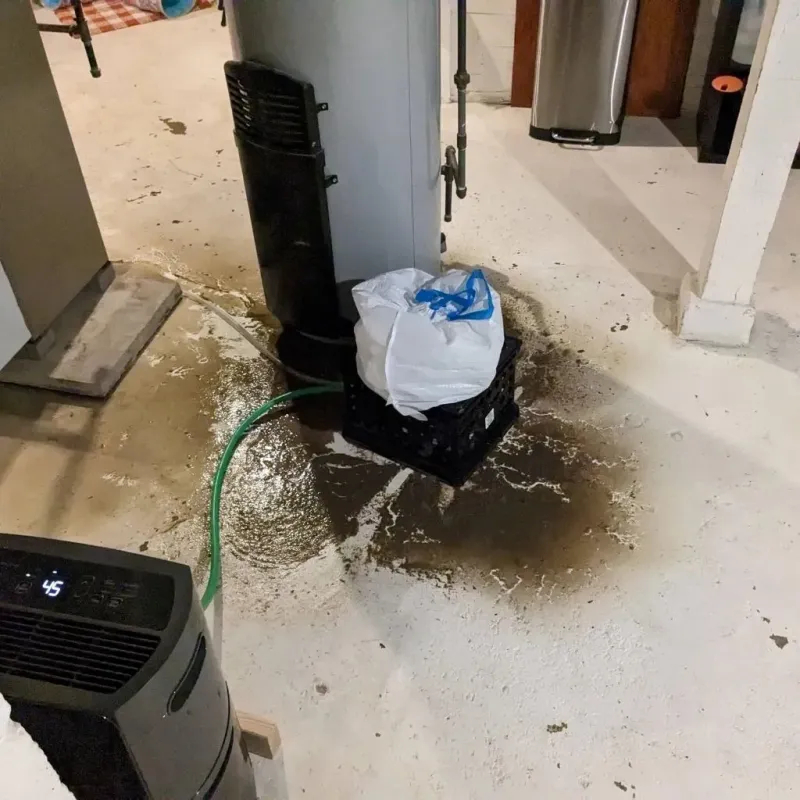 Sewage Backup Cleanup Service in Foley, MN